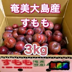 奄美大島産 硬いすもも 3kg - メルカリ
