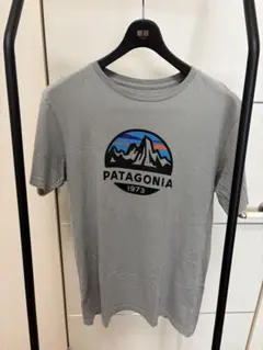 patagonia スリムフィット Tシャツ S グレー