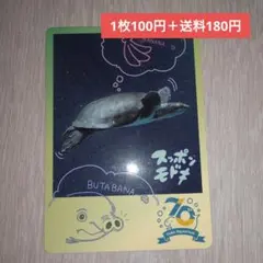 1枚100円＋送料180円】鳥羽水族館コレクションカード（アカモンガラ