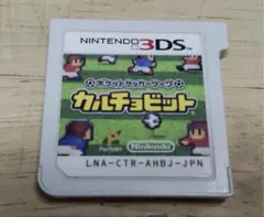 ［3DS］ポケットサッカーリーグ　カルチョビット