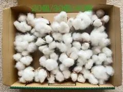 ドライフラワー 花材 インテリア
