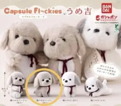 ⭐︎Capsule Flockies うめ吉 座り ベージュ⭐︎新品未開封