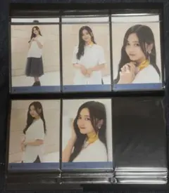 乃木坂46 井上和 生写真 5種コンプ
