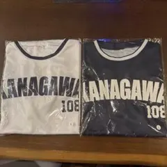 岡山南高校 ユニフォーム上 OKAYAMA ユニフォーム 水色 - メルカリ