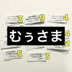 むぅ様専用