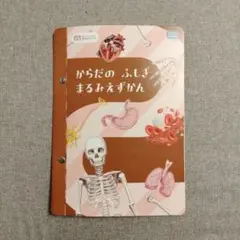 Item thumbnail for item c3b9daff-2e17-40cc-bfa7-9036ef1d4977