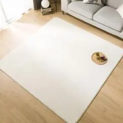 ニトリ ほこりがとれやすい洗えるラグ(ファーラグ RM01) 185×185