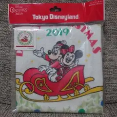 新品未使用　東京ディズニーランド　ウォッシュタオル　クリスマス2019