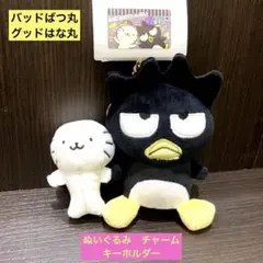 レア　サンリオ　ピューロランド 仲良し　ぬいぐるみ　バツ丸　はな丸　2014年 レア サンリオ ピューロランド 仲良し ぬいぐるみ バツ丸 はな丸