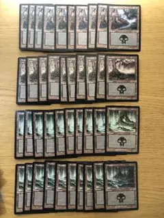 インベイジョンの沼/Swamp 英語語版絵柄別40枚セット INV MTG