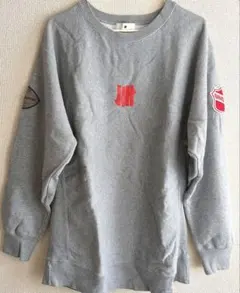 アンディフィーテッド