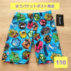 ポケモン　レックウザ　六英雄　水着　110
