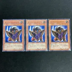 ビッグシールドガードナー