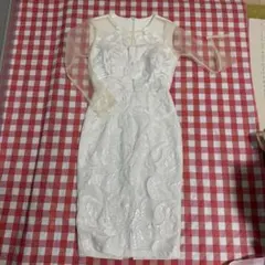 フラワー刺繍シースルー袖パーティードレス