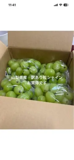 山梨県産 訳ありシャインマスカット粒 ダンボール込み約4キロになり