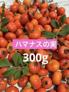 ハマナスの実300gのサムネイル