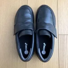 Item thumbnail for item ca773beb-6049-467b-b96e-260393b0727f