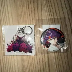 渡会雲雀 ストリートファイター6 缶バッジ アクキー カプくじ