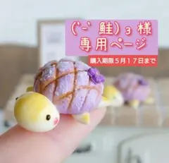 ('-' 鮭)з様専用ページ　購入期限５月１７日まで