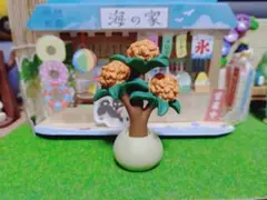デコレ　コンコンブル　金木犀　鉢植え