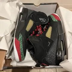 JORDAN SPIZIKE 2006 エアジョーダン