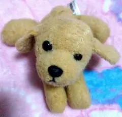 2026年最新】como＆rayの人気アイテム - メルカリ