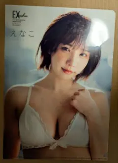 えなこ両面クリアファイル（水着姿）漫画アクション2025年付録 超ギャバン出演