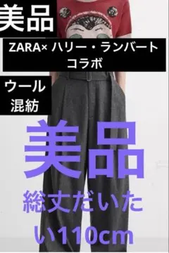 ZARA x Harry Lambert バギーデニム 希少jp29 - メルカリ
