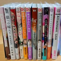 【バラ売り可】商業BL 11冊 まとめ売り 特典付き