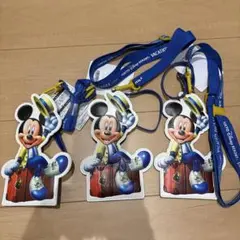 ディズニーリゾート　バケーションパッケージ　パスケース3つセット