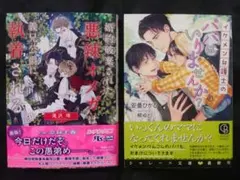 同人誌】夜嬢帝国 第5号 1988.12 高河ゆん 千蔵マキ 門井亜矢 - メルカリ