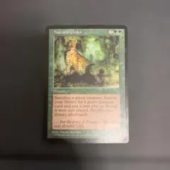 自然の秩序　Natural Order MTG