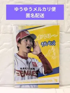 楽天イーグルス　平良竜哉　わしほーカード
