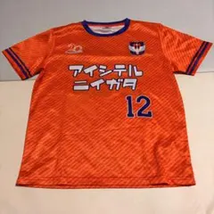 アイシテルニイガタ サッカーシャツ ユニフォーム　アルビレックス新潟