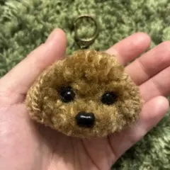 ＊うるうるトイプードル　毛糸キーホルダー＊ぬいぐるみマスコット　薄茶色　レッド