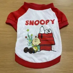 Item thumbnail for item e0d27d7e-c4bd-4a87-9cea-132fa25d54db