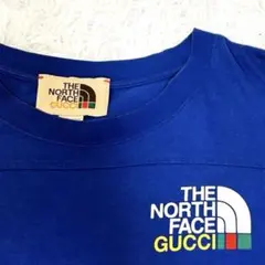 レア！ ザ ノースフェイス グッチ22SS 2XL ロゴバックプリント