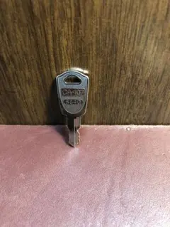 Item thumbnail for item 2ecad9dd-54f2-414d-a5ff-a8a875fc11db