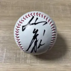 埼玉西武ライオンズ 長谷川信哉 ヒーロー 投げ入れ 直筆サインボール 球団公式球 埼玉西武ライオンズ 長谷川信哉 ヒーロー 投げ入れ 直筆サインボール