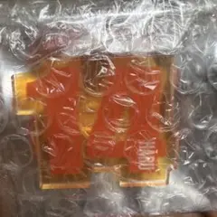 超特急　ペンライトアクセサリー　ハル