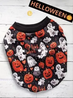 ★HELLOWEEN★フレブルちゃんＬサイズ