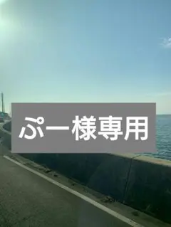 ぷー様専用