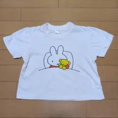 Item thumbnail for item 791f66bc-d9bc-4936-af74-0a08b2e2acef