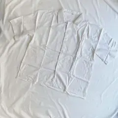 Item thumbnail for item 0a648990-7b25-4ff1-b6d7-dd8b9091f019