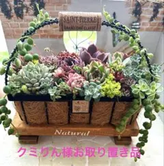 ❤️多肉植物そのまま飾れる❤️コルク四角バスケット❤️