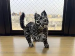 リアル羊毛フェルト猫 キジトラ 立体作品 ハンドメイド 置物