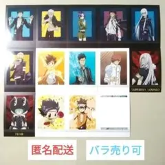 【バラ売り⭕】家庭教師ヒットマンREBORN! ぱしゃこれ 第2弾 13枚セット