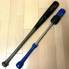 【超希少】大学日本代表サインバット黒田博樹・井口資仁・今岡誠他アマチュア時代直筆 2025年最新】井口 バットの人気アイテム - メルカリ