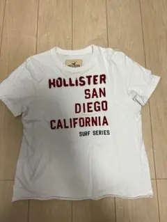 Hollister サンディエゴ Tシャツ M