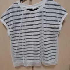 ボーダー Tシャツ チュール重ねのサムネイル